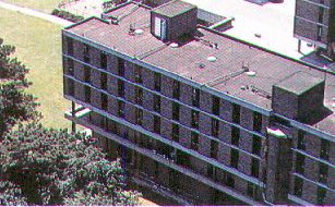 wyddrington.jpg (30202 bytes)